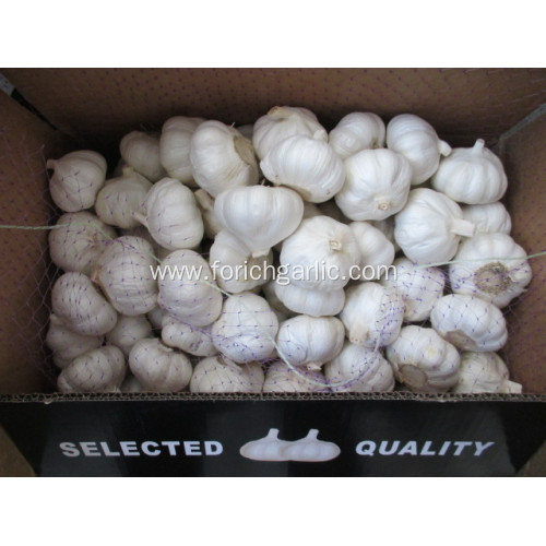 Crop 2020 Pure Garlic